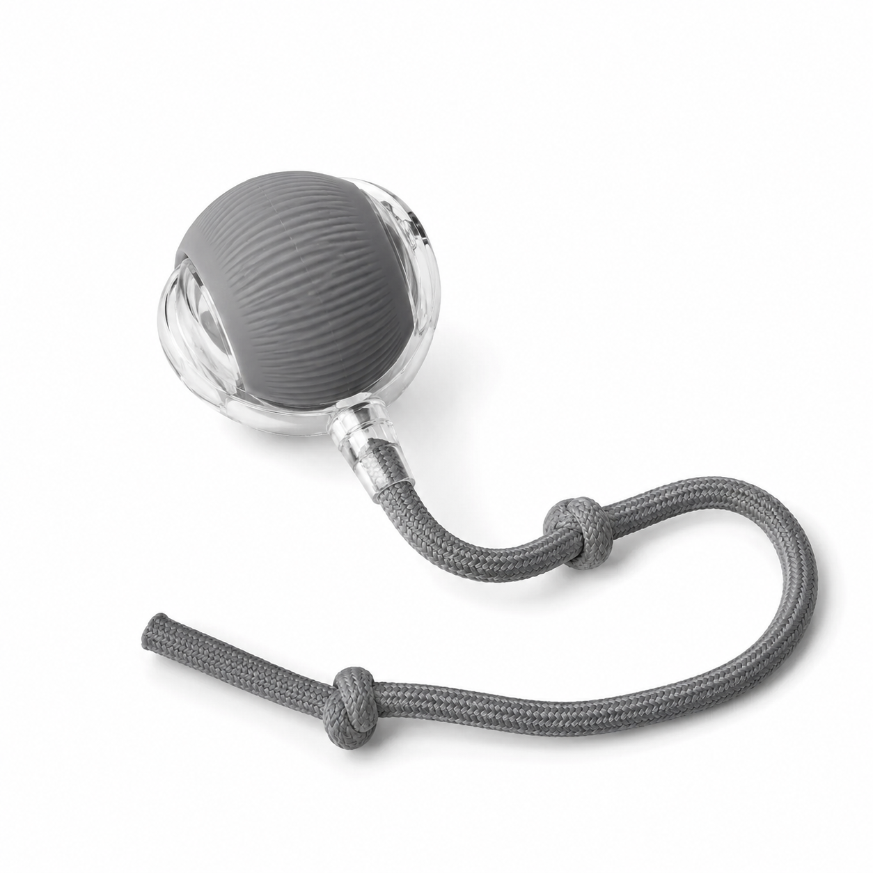 PETSESORIES™ Interactive Chase Ball